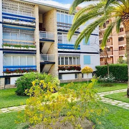 Book Mallorca Ii Apartment