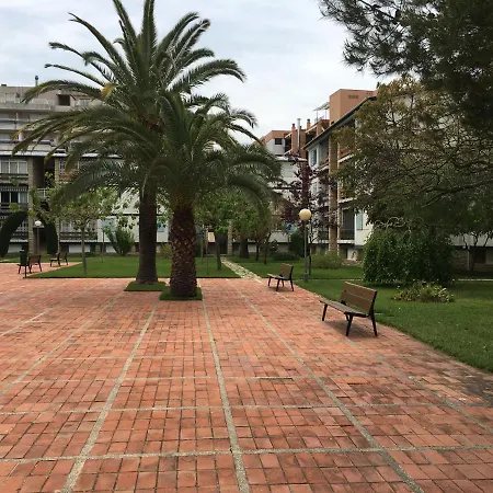Book Mallorca Ii 萨洛